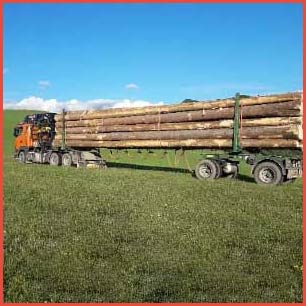 Import drewna ze Słowacji
